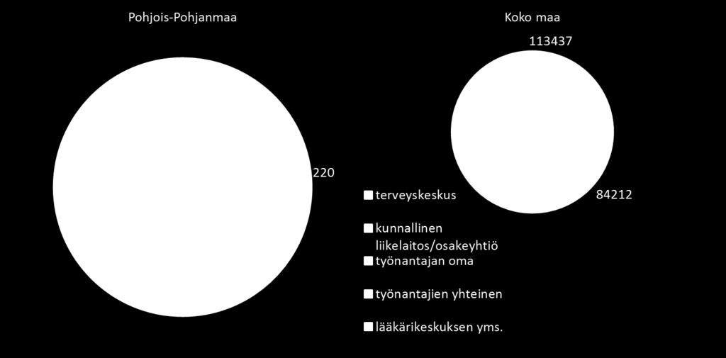 Tuottajaryhmittäin sairaanhoito painottuu lääkärikeskuksiin.