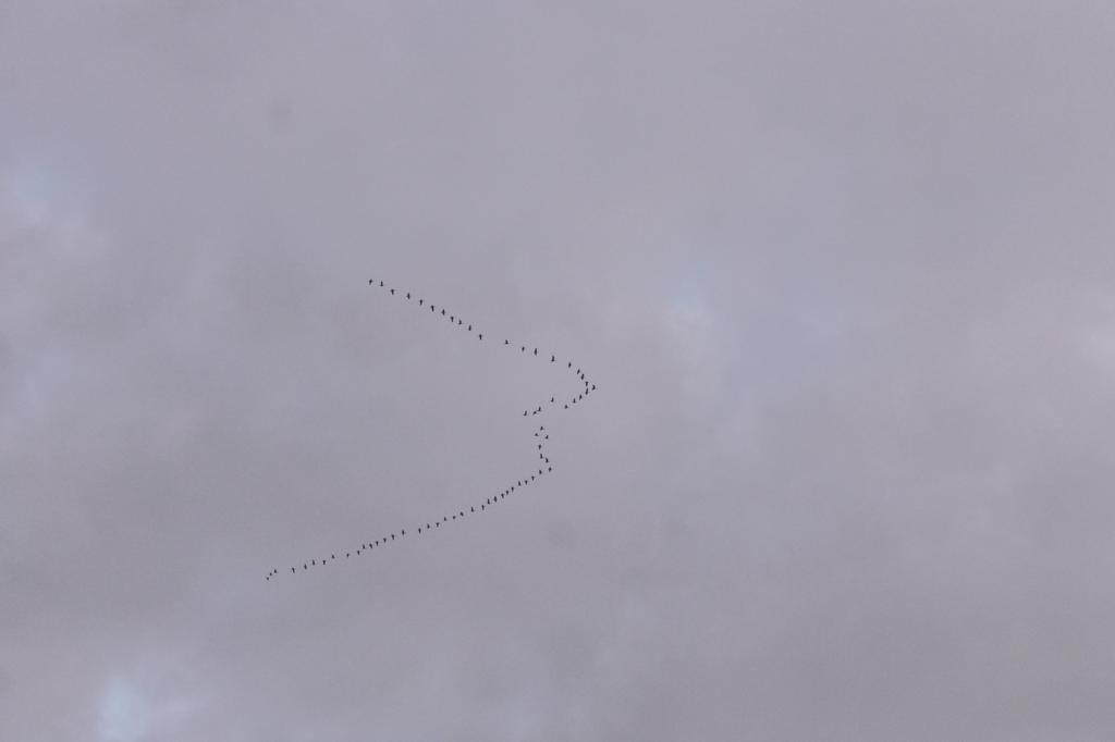 In memoriam Vuoden 2013 Iltaruskon ilmestymisen jälkeen poisnukkuneet jäsenet: Berg Aaro Rekonen Risto Hänninen Reijo Hokkanen Olavi Heinonmäki Sauli Reinikka Kaija Jalkanen Elli Häkkinen Reino