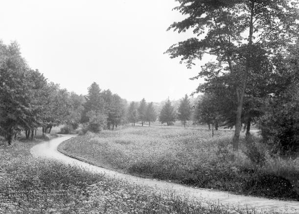 Kuva 37 (yllä) Svante Olssonin ensimmäinen kokonaisvaltainen puistosuunnitelma Helsingin Eläintarhaan on päivätty 1.3.1900. Förslag till parkanläggning å Djurgården i Helsingfors. HKA/KPOA.