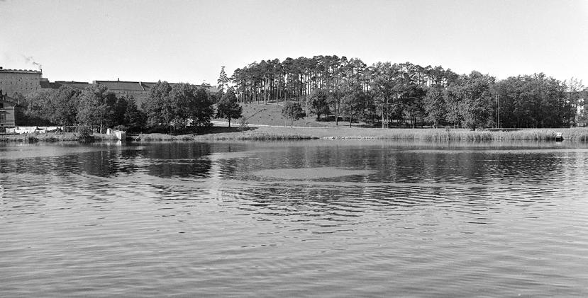 Kuva 70 Mäntymäki vuonna 1931. Mäntysiluetti hallitsee kaupunkikuvaa. Valokuva S. Suo. MV. Kuva 71 Mäntymäki kuvattuna Linnunlaulusta. ML. näköalapaikka ja eväsretkien kohde.