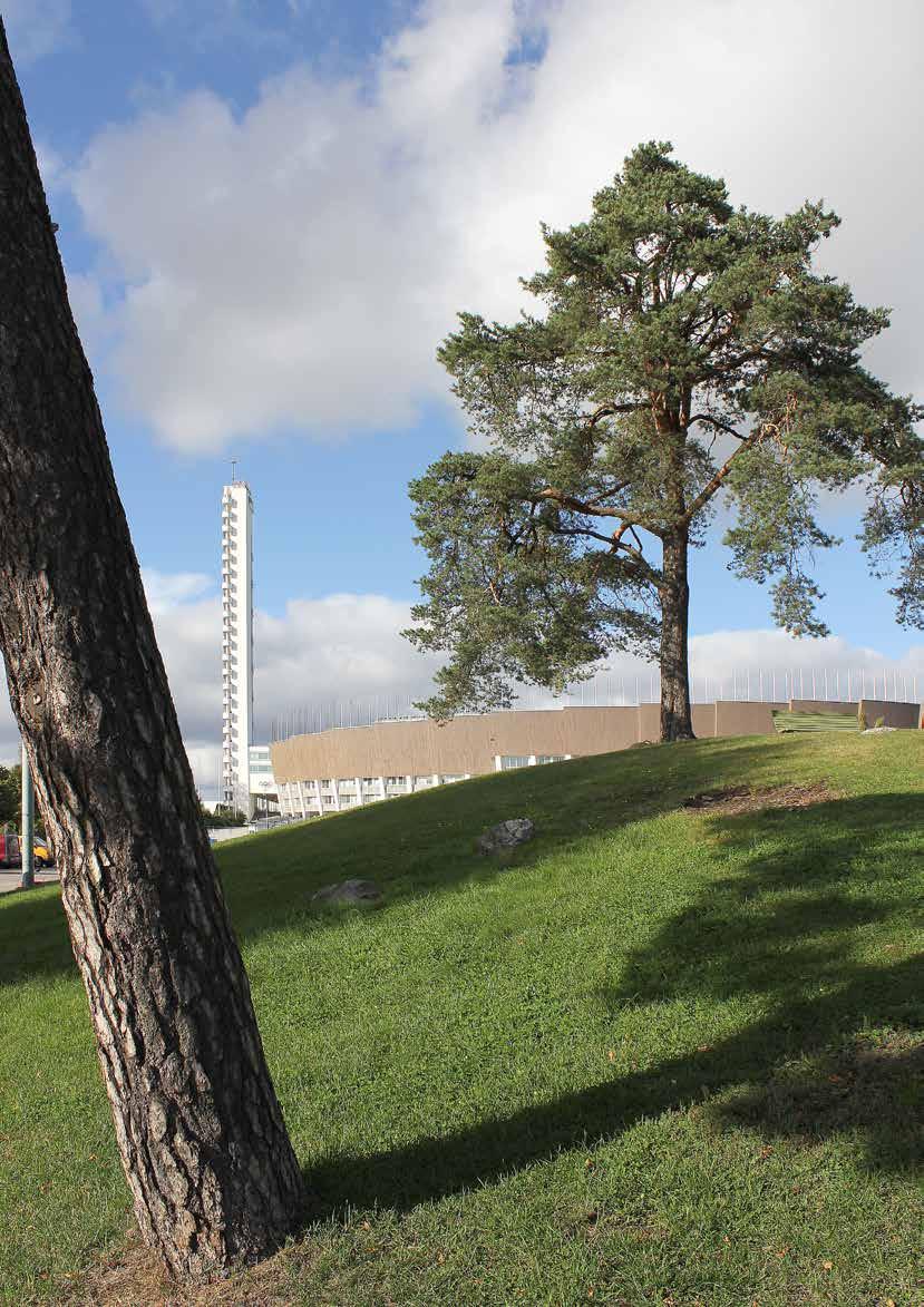 2. Olympiastadion ja sen lähiympäristö Kuva 104 Puistokukkula Stadionin kenttien välissä on kaupunkikuvallisesti tärkeä tilanjakaja. ML.