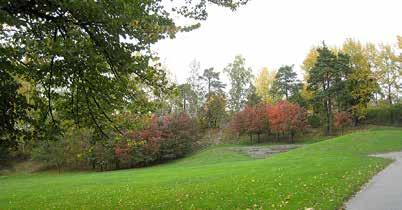 Lampipuiston yläpuoliseen rinteeseen on istutettu kirsikkapuumetsikkö 1990-luvun lopulla. Sen läheisyydessä on pieni ulkoilmanäyttämö ja nurmikentän itäreunassa sijaitsee puinen paviljonki.