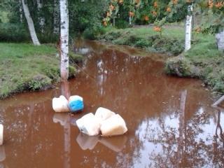Hulevedet?