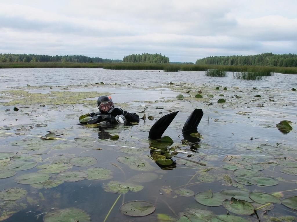 4. Rahoitus ja voimavarat 2016 Vuodesta 2011 lähtien VELMU toiminnalle on osoitettu valtion talousarvion Itämeri-rahasta vuosittain 1,3 milj.