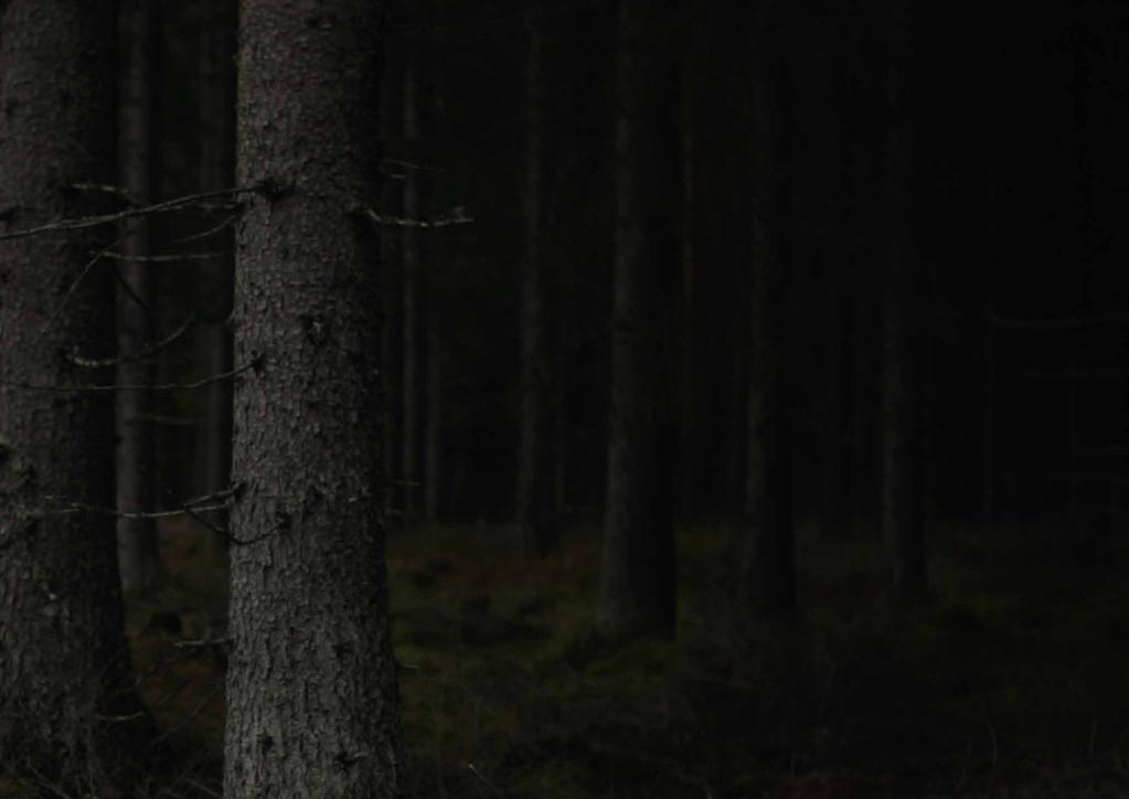 Ulkoavaruudesta suomalaisen maanomistajan metsään pakkolaskeutunut nainen ei ole ilmiselvä samaistumisen kohde.