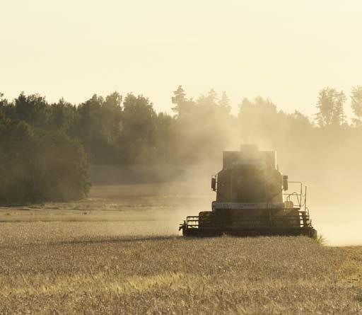 Sesonkiaikoina peltotöitä tehdään aamuvarhaisesta iltamyöhään, ja traktorit pärisevät vielä iltakymmenen jälkeenkin.