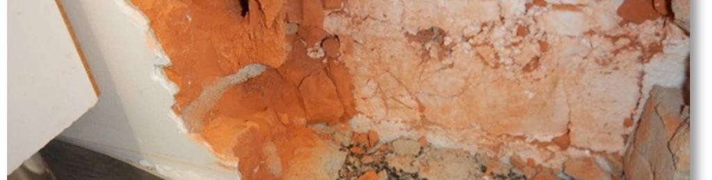 Molemmissa näytteissä (materiaalinäytteet 31 ja 33) oli runsasta mikrobikasvua ja pieniä määriä kosteusvaurioon viittaavaa mikrobilajistoa ( viite vauriosta).