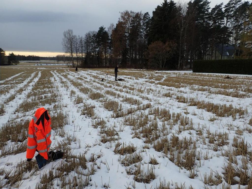 11 Huomiot: Muinaisjäännösrekisteri: Reijo Hyvönen on löytänyt pronssiesineen katkelman KM 40042 (riipus tai ketjunkantaja?) 30.8.