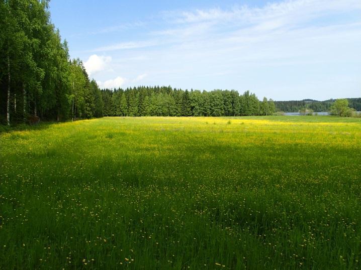 3 Inventointi Laukaan kunta on laatimassa asemaakaavaa Laajalahden alueelle. Laukaan kunta tilasi kaavaalueen muinaisjäännösinventoinnin Mikroliitti Oy:ltä.