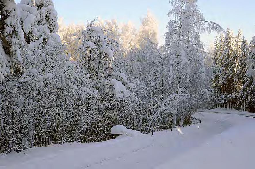 7 Taimitarhanpuiston lehtevä Mokka-Mökin kulmaus