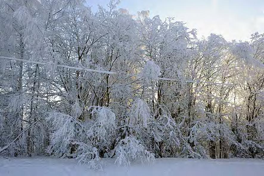 ), kylänäkymää hallitsevat