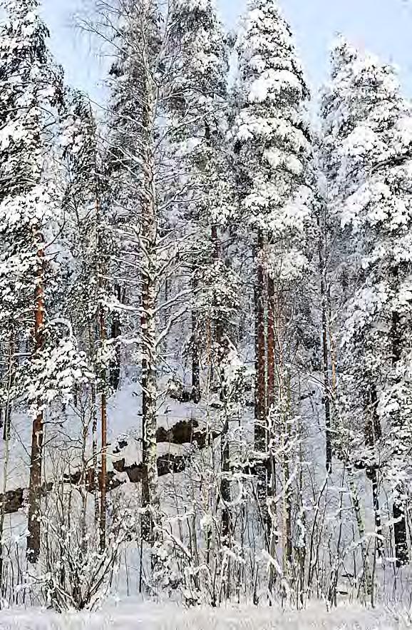 Se tulee määritellä Uudenkylän osayleiskaavassa luonnonsuojelualueeksi, missä turvataan nykyisen virkistyskäytön (näköalapaikka sekä pienimuotoinen uima- ja onkipaikka) jatkumisen edellytykset.