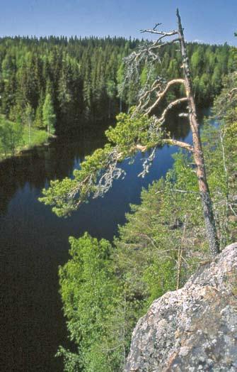 16 Tietoturva työttömyyskassassa Sähköisestä asioinnista viranomaisissa annetun lain (24.1.2003/13) 5 :n 3 momentin mukaan viranomaisen on varmistettava riittävä tietoturvallisuus asioinnissa ja viranomaisten keskinäisessä tietojenvaihdossa.