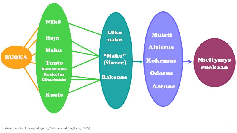 Ruokamieltymyksen synty Yksilölliset aistimukset Ruuan