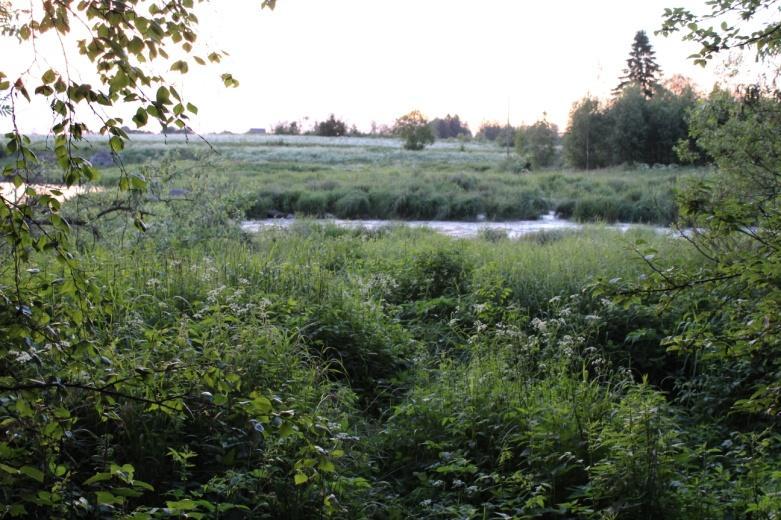 3 1 Johdanto Loiman selvitysalue sijaitsee Huittisten kaupungissa. Selvitysalue sijaitsee 3 kilometriä Huittisten keskustasta lounaaseen. Selvitysalue on 15 hehtaarin kokoinen.