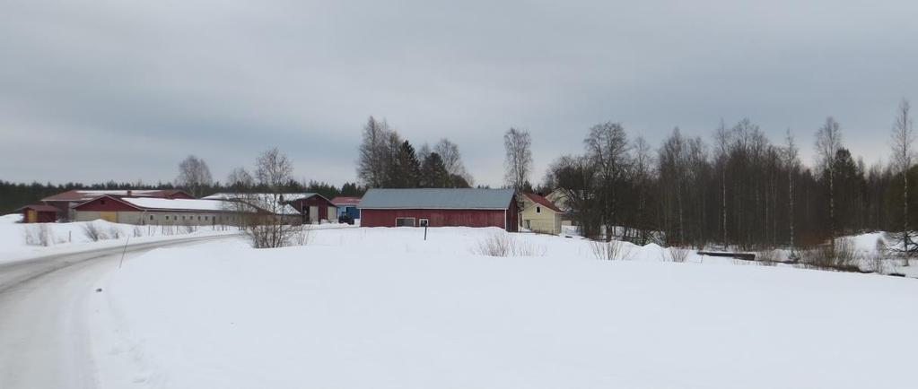 Pyhännänjokivarren rakentamista Koivulan