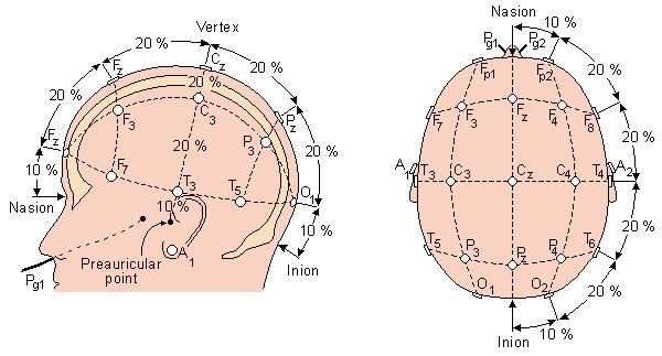 15 4 EEG-TUTKIMUS EEG eli elektroenkefalografia kuuluu kliinisen neurofysiologian tärkeimpiin tutkimusmenetelmiin.