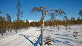 Tea on käynyt ne kaikki läpi useamman kerran ja eri vuodenaikoina. Elokuussa 2017 ilmestyi valokuva- ja tietokirja seitsemän vuoden työstä.