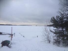 Kävin viime viikonloppuna katsomassa Päkin rannassa, olisiko jälkiä jäällä tai näkyisikö kalastajia, joilta voisi kysyä jään