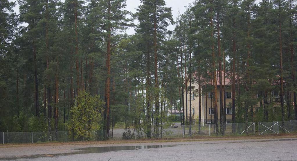 kuva Ida Fasching 2014 Lohjan kaupunki Ympäristötoimi Kaavoitus AO 19.5.