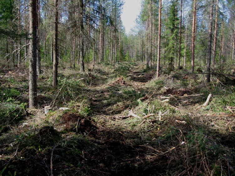 Toivomme, että päivitetyn kantavuusluokituksen työstöllä