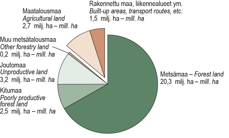 Suomen metsävarat, metsänomistajat ja puulajit Vuonna 2012 pientalojen lämmityksestä katettiin 40 % puulla, josta