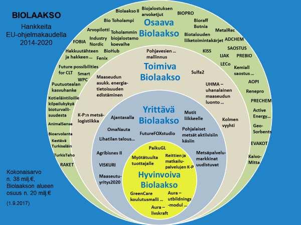 8 Kuva 3. Biolaakson hankekokonaisuus (Jaakkola & Ylä-Kero 2017).