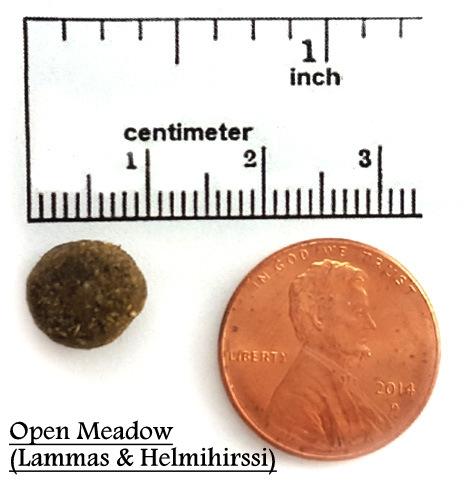 Ainesosat: Kuivattu kananliha, Helmihirssi, Kananrasva (säilötty tokoferoleilla), Aurinkokuivattu Sinimailanen, Pellavansiemenrouhe, Fermentaatiomassa (Aspergillus Niger, Aspergillus Oryzae,