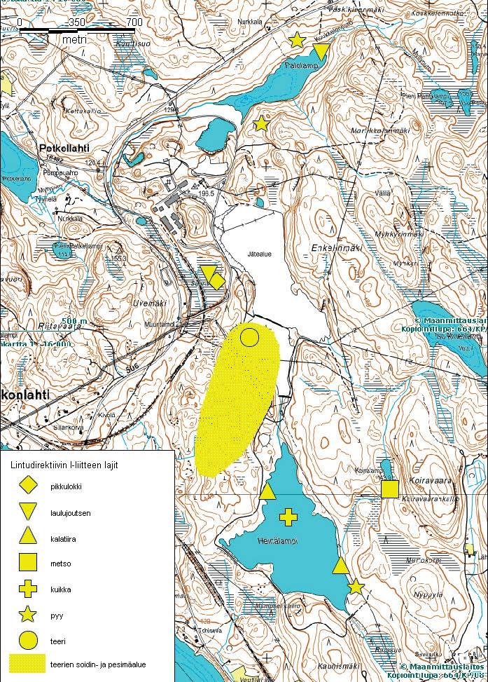 Kuva 9-8 Luikonlahden hankealueella esiintyvät lintudirektiivin I-liitteen lajit.