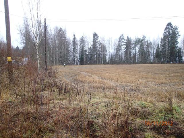 hiekkaista rantakerrostumaa, jossa koekuopista ei havaintoja esihistoriasta. Etelään.