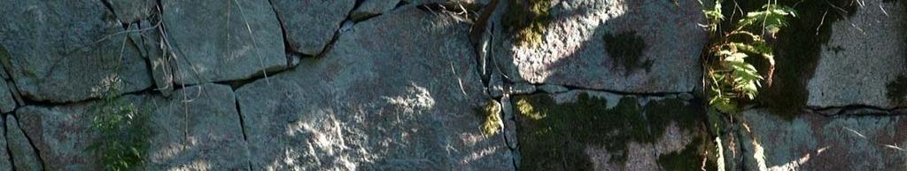 Ravintoloissa ruokitaan