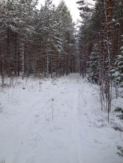 urille niin loput järjestelyt Osa hiihdetty urista suunnitelmissa etevät tai kaipaa kävelty suunnitellussa vielä aa jäljet. lisää huomenna.