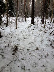 pidämme Lumi paransi Kisakalust lähtöviivalle kiviä lumimäärään todella kannata vähän, osalta nähden puunoksia suosituksemme tuoda, todella mutta hyvässä