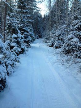 2.2.2016 Tänään satanut kuin tilauksesta 5cm uutta valkoista lunta. 30.1.2016 alkuperäisenä Lumet vät sulaneet ankohtana liiaksi viimsen eli urastoa, 6.