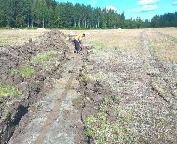 pahentua kymmeniä vuosia.