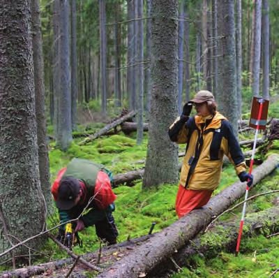 Vanhimmat yhä seurannassa olevat kokeet on perustettu 1800-luvulla.