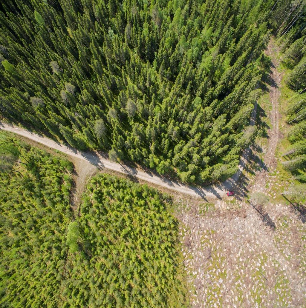 Miten ostat UPM Bonvesta -metsätilan sopimusmyyjille tulee uusia kohteita noin joka toinen viikko pysyt ajan tasalla tilaamalla uutiskirjeen osoitteesta www.bonvesta.