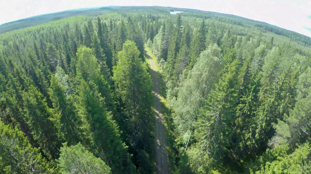 Alhainen korkotaso, vaihtoehtoisten sijoituskohteiden vähäisyys ja positiivinen vire toimintaympäristössä