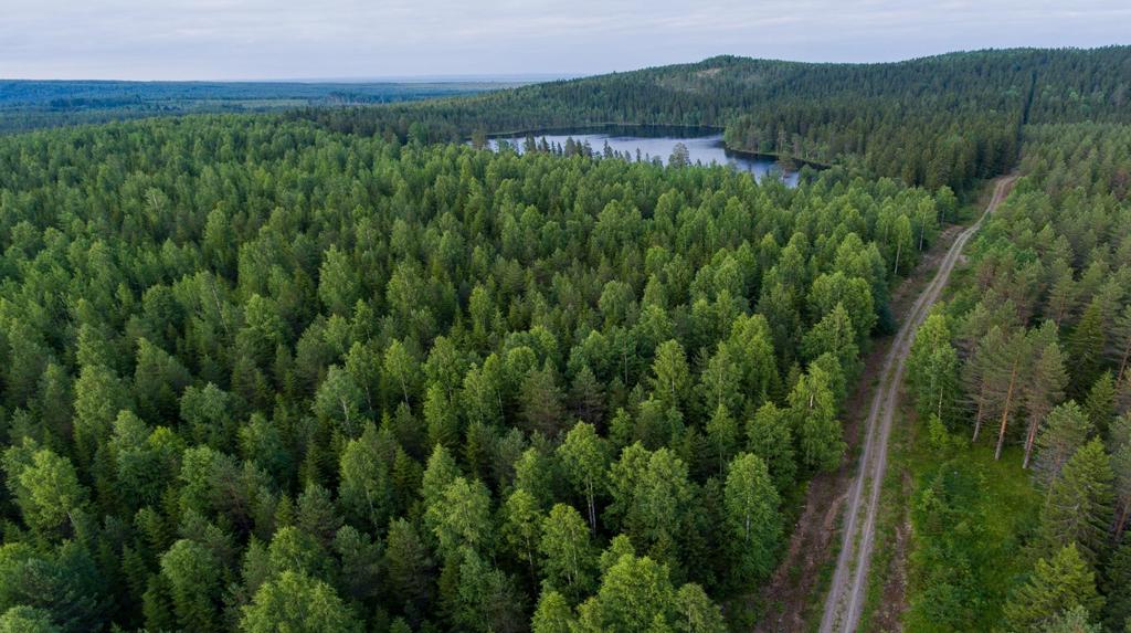 Toimintaympäristö