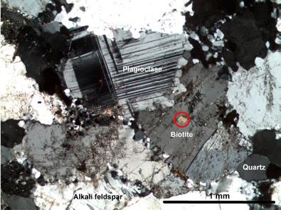 Microscopic image of Kökar