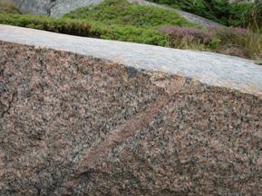 The granite is moderately foliated with occasional localized finegrained shear zones parallel to the foliation (Fig. 3C). The mafic metadiabases are also sheared (Fig.