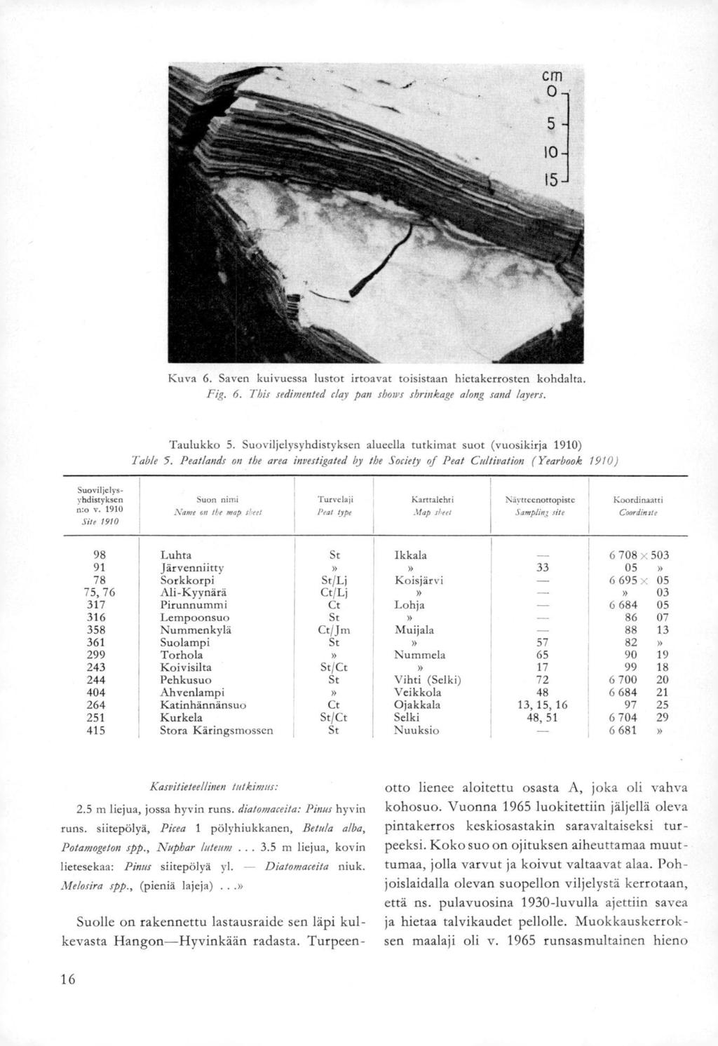 Kuva 6. Saven kuivuessa lustot irtoavat toisistaan hietakerrosten kohdalta. Fig. 6. This sedimented eksy pan show shrmkage along sand layers. Taulukko 5.
