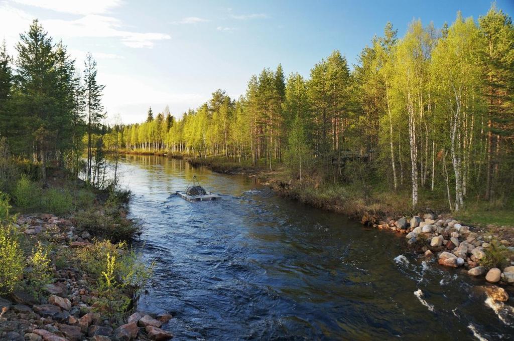 Smolttiruuvi Äkäjoella pyyntikauden