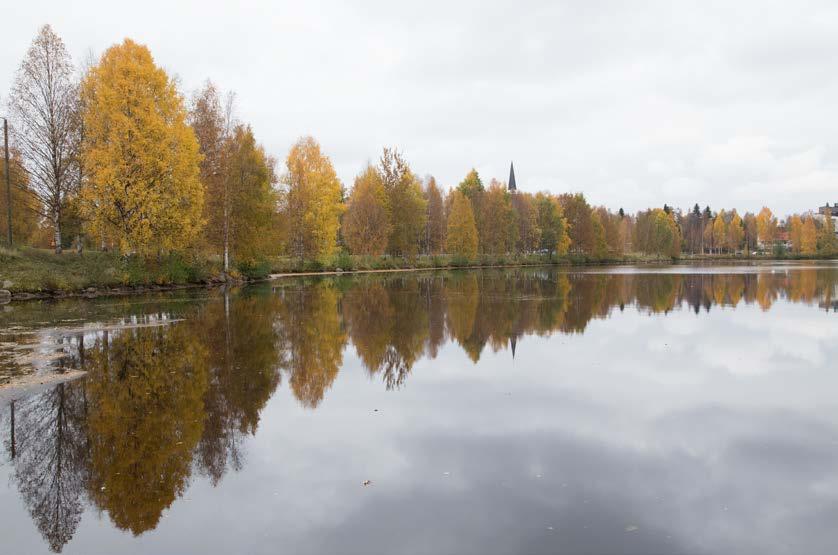 OPISKELU JA TYÖ Lisensiaattityö ja väitöskirja Merkitys vaikeille kokemuksille Mielekästä tekemistä, motivoivaa Kokemustiedon