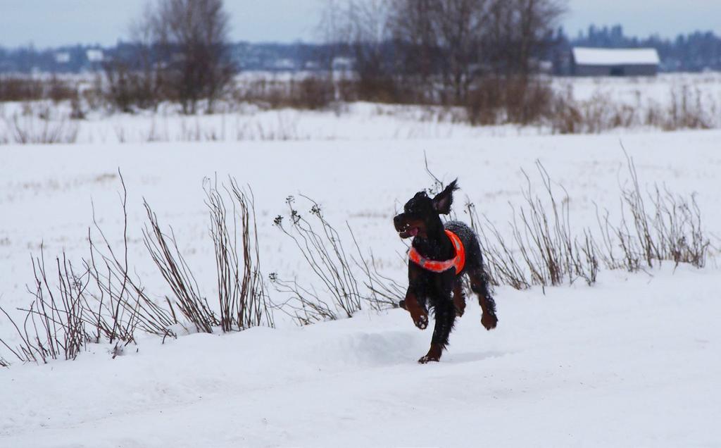 Hyvä päivä oli kuitenkin myös sunnuntai ja kaikki tilanteet opettavat.