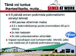 Onnistunut siirtymä uuteen lypsykauteen Transition cow-sanalla kutsutaan lehmää 30 vrk ennen ja 30 vrk jälkeen poikimisen.