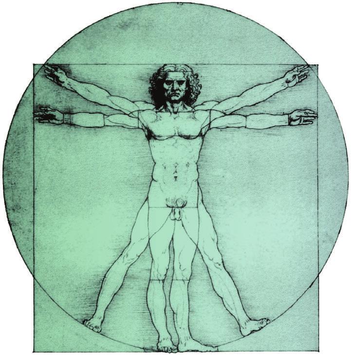 VITRUVIAANINN IHMIVARTALOAAVIO Leonardon vitruviaaninen ihmisvartalokaavio, jonka napa jakaa vartalon kokonaiskorkeuden kultaisen leikkauksen suhteessa. uva 8. Pallasmaa 2005.