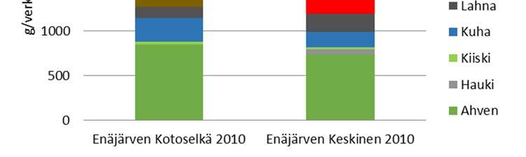 yltäen kuitenkin 41,4 %:iin. Kuhia koeverkotuksissa tavattiin 5 kpl. Kuhan osuus kokonaissaaliista oli kuitenkin kohtuullisen suuri 13,6 % johtuen saaliiksi saatujen kuhien isosta koosta.