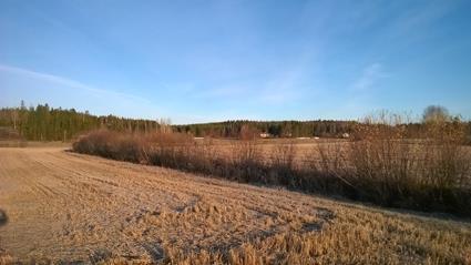 Kuva 10. Töyrylän oja peltoalueella. Töyrylän ojan eroosioriski on pääosin suuri. Töyrylän ojassa on vesiensuojelutarve.