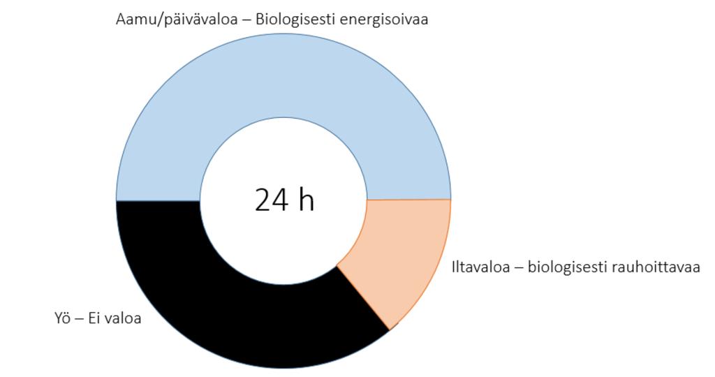 Biologinen vaikutus Oikeanlainen valo oikeaan aikaan Tärkein määräävä tekijä valon biologisessa vaikutuksessa päivärytmiimme